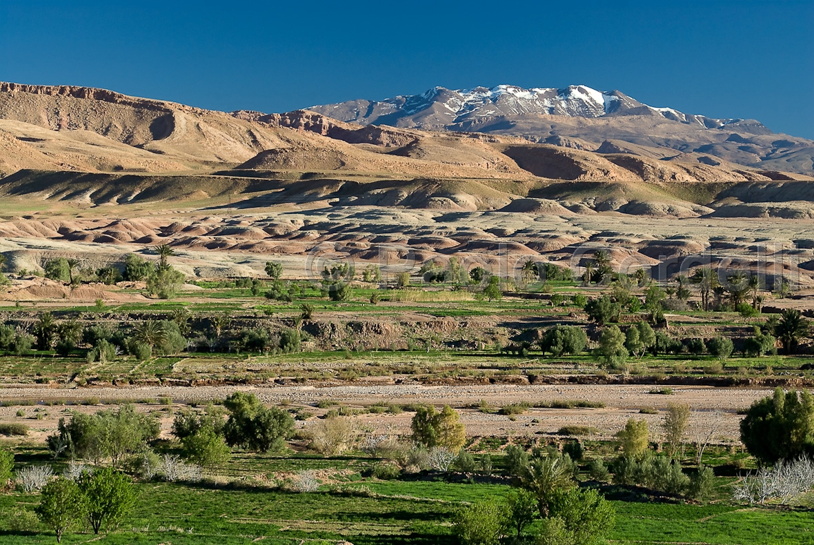 Ouarzazate Valley, Marrakech, Morocco
 (cod:Morocco 60)